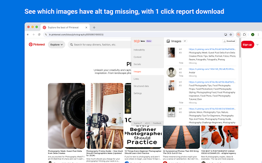 SEO Lens | A free tool for On-page seo screenshot