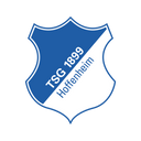 TSG Hoffenheim icon
