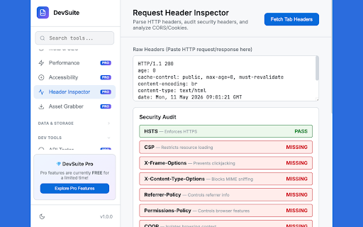 DevSuite - 25+ Web Developer Tools & API Tester screenshot