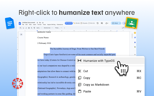 TypeOS: AI Humanizer, Research Assistant & Essay Writer for Google Docs screenshot