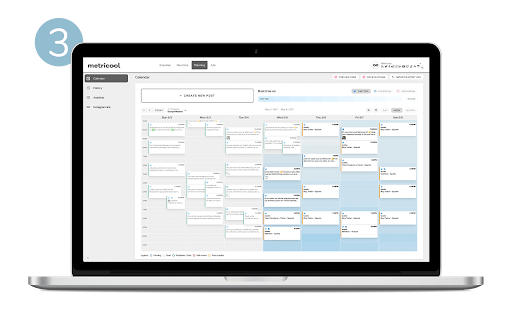 Metricool screenshot