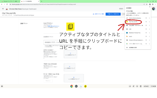 Clip Title and URL screenshot