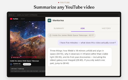 Mentorina: AI Video, PDF & Page Summarizer screenshot
