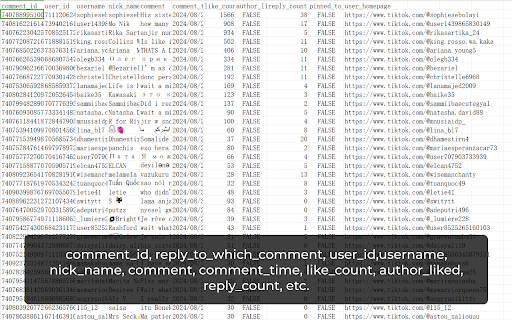 Comment Export Tool screenshot