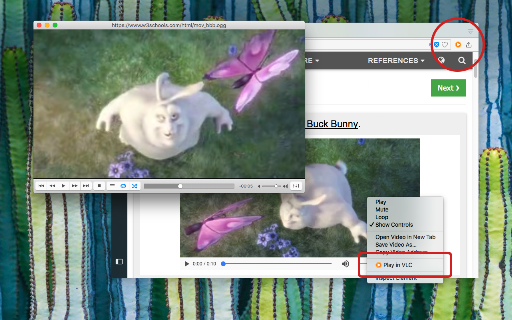 Play in VLC™ screenshot