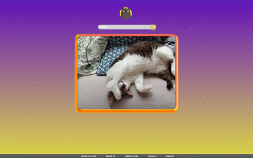 Cats Fan screenshot