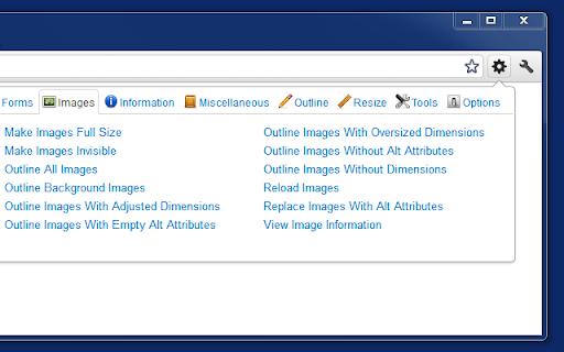 Web Developer screenshot