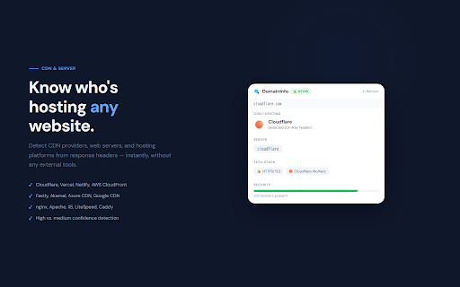 DomainInfo — Tech Stack Inspector screenshot
