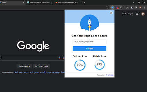 Google Pagespeed Insights screenshot