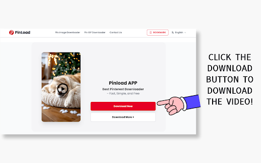 PinLoad - Pinterest Video Downloader screenshot