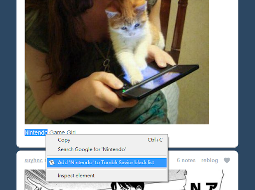 Tumblr Savior screenshot