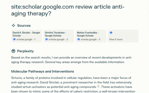 Perplexiti AI Goocle Scholar Search screenshot