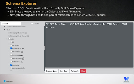 Salesforce Tool Suite screenshot