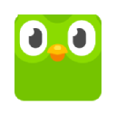 Duolingo Streak icon