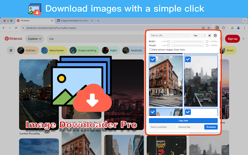 Image Downloader Pro screenshot