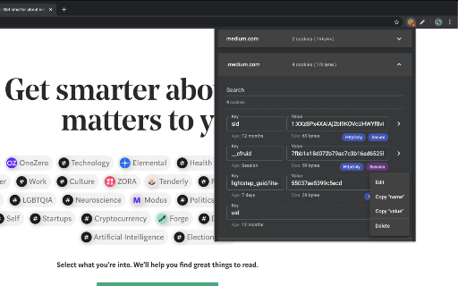 Easy Cookie Editor screenshot