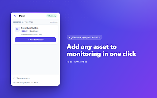 Website & Domain Monitor + App, Extension & Social Tracker · Pulse screenshot