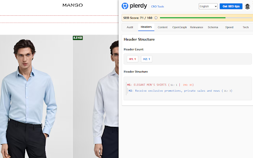 Plerdy SEO Analyzer screenshot