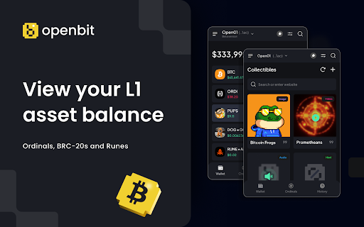 OpenBit Wallet screenshot