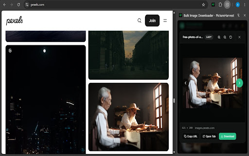 Bulk Image Downloader - PictureHarvest screenshot