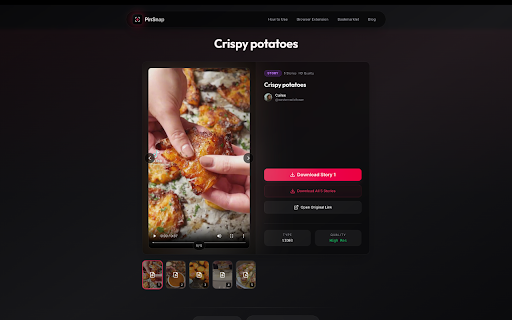 Pinterest Video Downloader - Download HD Videos, GIFs & Images | PinSnap screenshot