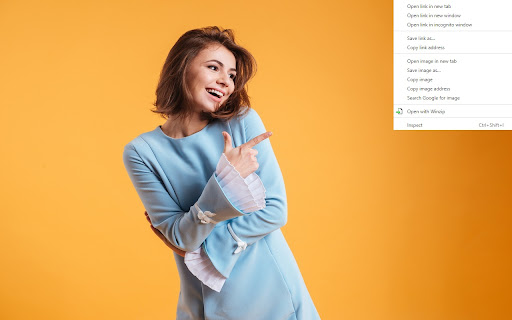 Open in Winzip screenshot