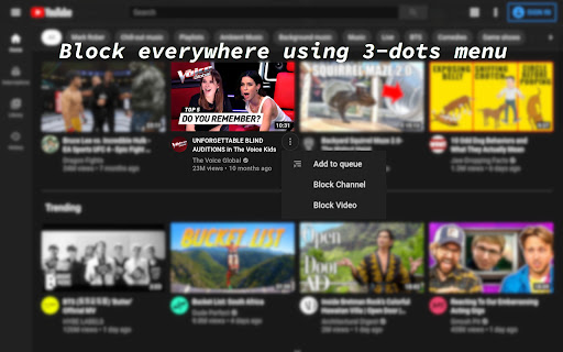 BlockTube screenshot
