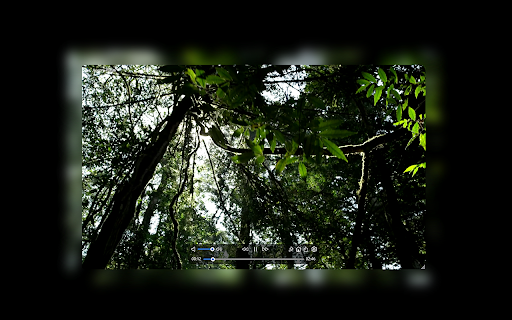 Aurora Player screenshot
