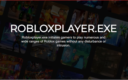 RobloxPlayer.exe - Rplayerexe screenshot