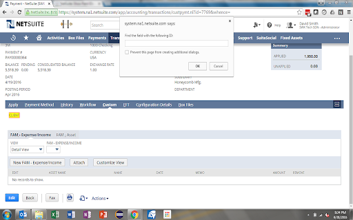 NetSuite: Show Field IDs screenshot