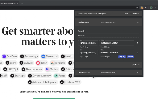 Easy Cookie Editor screenshot