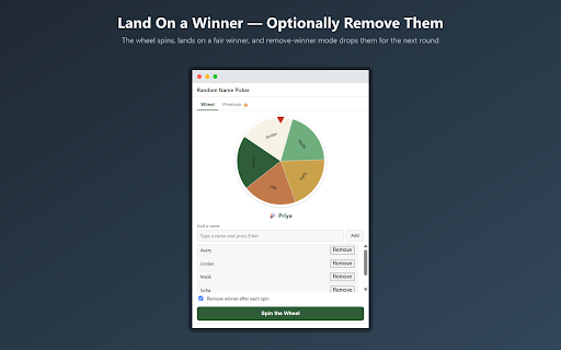 Random Name Picker: Spin the Wheel screenshot
