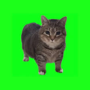 OIIA Dance Party icon