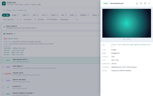 Asset Lens screenshot
