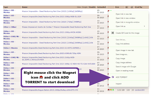 Bittorent For Chrome screenshot
