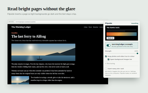 Flipside — Page Colour Inverter screenshot