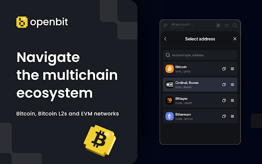 OpenBit Wallet screenshot