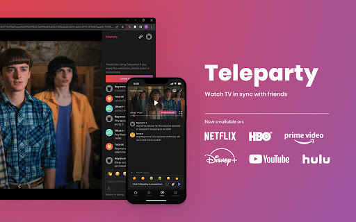 Netflix Party is now Teleparty screenshot