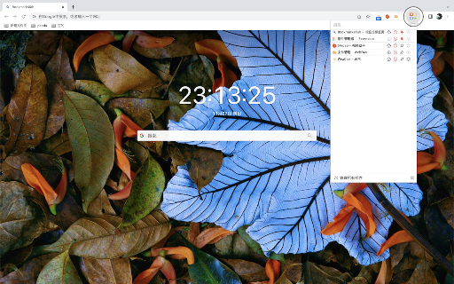 IExtension screenshot