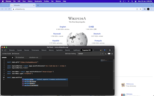 Puppeteer IDE screenshot