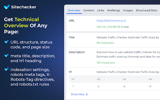 Website SEO Checker screenshot