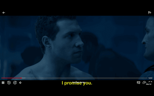 SubtitleSync Pro screenshot