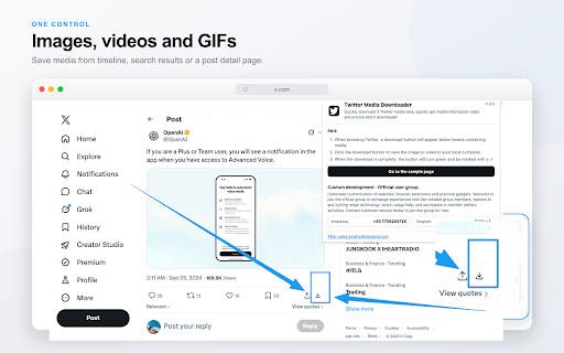 X Twitter Video and Picture Batch Downloader screenshot