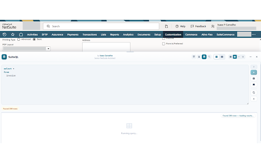 Netsuite for Consultants screenshot