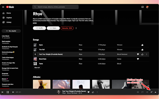 Skip YouTube Music Dislikes screenshot