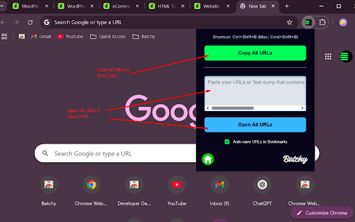 Batchy - Bulk URL Copier, Opener & Autosaver screenshot