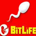 BitLife Unblocked icon