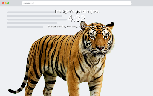 Lion Gatekeeper screenshot