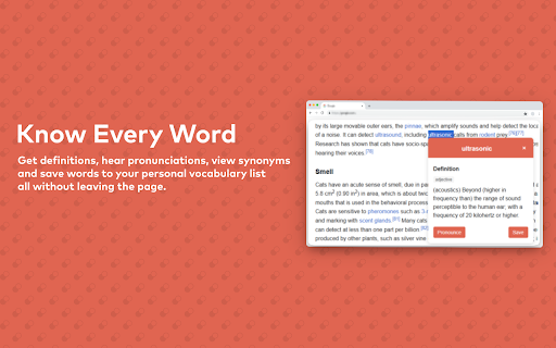 Word Explorer screenshot