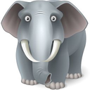 Run Javascript icon